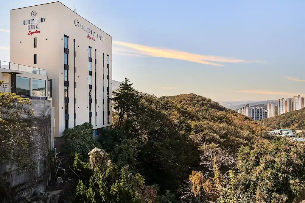 BROWN DOT HOTEL シグネチャー_done